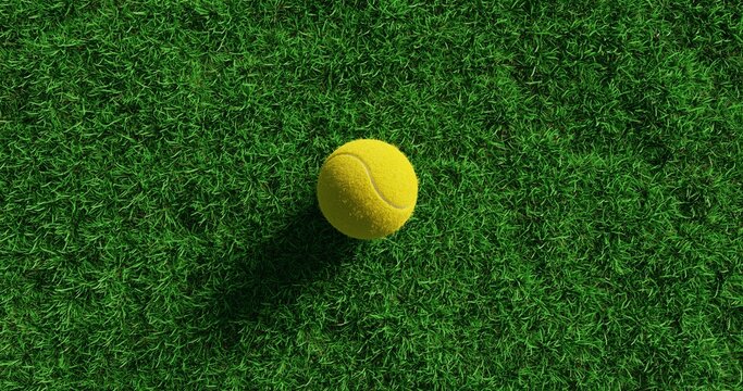 Yellow tennis ball on the grass, top view, 3d rendering
