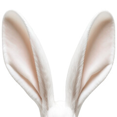 PNG White Easter Rabbit Ears Slim Isolated - 581596897
