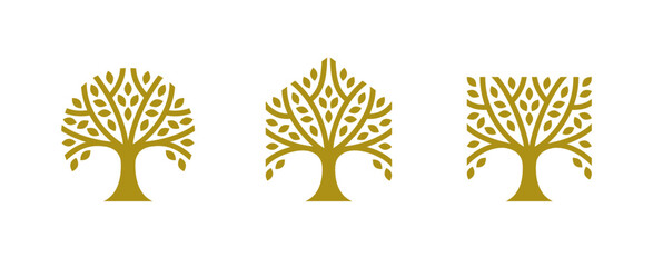 Set of tree logos in different geometric shapes: circle, square and hexagon. - 581597073