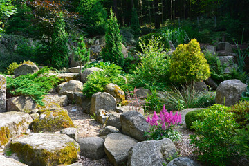iglaste krzewy w ogrodzie skalnym, Rockery garden with stones and small coniferous shrubs, ogród...