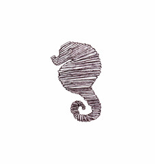 Hand drawn illustration of sea horse 
