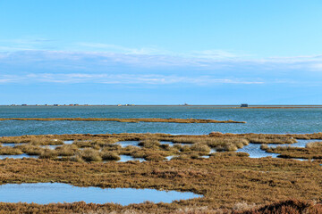 seascape view from the riverside at a delta river