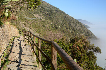 Fototapeta na wymiar The hiking trail between Vernazza and Corniglia. Cinque Terre National Park. Liguria. Italy