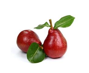 Isolated pears. Red pear fruits isolated on white background