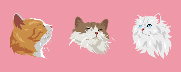 set of cat faces with different types, expressions, colors, shapes. vector illustration.