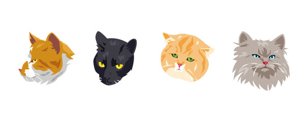 set of cat faces with different types, expressions, colors, shapes. vector illustration.