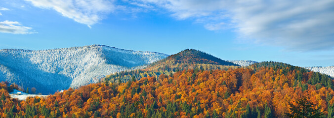 Sunny autumn mountain forest and first autumn frost on trees top (on mountainside). - obrazy, fototapety, plakaty