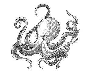 octopus with engraving drawing style. Vector vintage illustration © Ardiyan