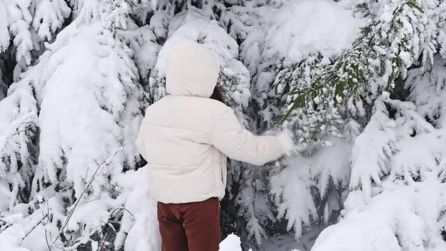 A young caucasian girl in a white down jacket with a hood and knitted mittens shakes snow from the branches of a fir tree in the winter forest of the reserve in belgium, close-up side view. Winter hol
