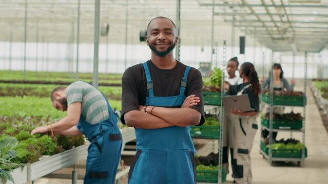 Smiling african american man posing with arms crossed while farm workers using laptop manage deliveries to local store. Portrait of farmer standing in modern greenhouse while pickers fill crates.