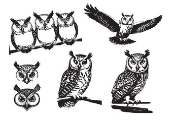 Transparent Owl Tattoo Set, Owl Vector Collection, Owl Drawings