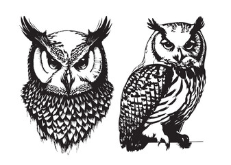 Fototapeta premium Transparent Owl Tattoo Set, Owl Vector Collection, Owl Drawings