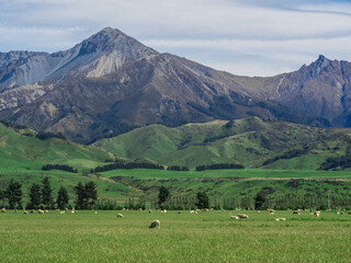 Fields and Mountains