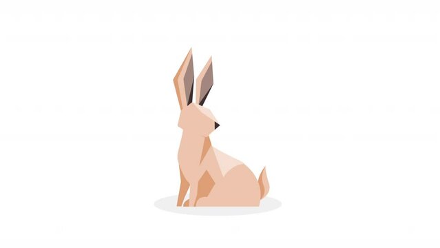 rabbit animal spring season animation
