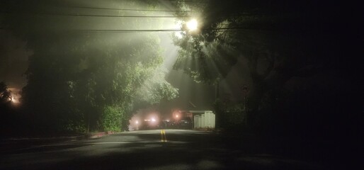 Fog In The Street During The Night, Lights Rays Through Trees