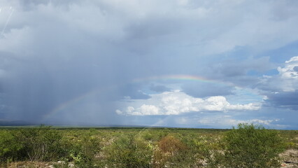 rainbowm