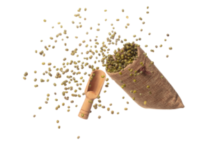 Green mung beans fly throw up in Sack Bag, green mung bean float explode, abstract cloud fly. Dried green mung beans splash throwing in Air. White background Isolated high speed shutter, freeze motion