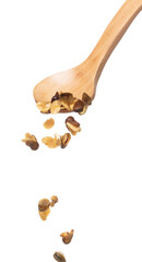 Salt Broad Beans flying explosion, broad bean fall down pour from wooden spoon. Tropical Salty roasted broad bean splash throwing in Air. White background Isolated high speed shutter, freeze action