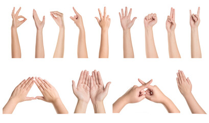 Set of woman hands gestures on white background.