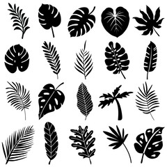 Tropical leaves vector illustration set of 20 realistic tropical leaf silhouettes with black color shapes