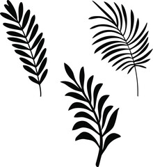 Tropical leaves vector illustration set of 3 realistic tropical leaf silhouettes black color shapes