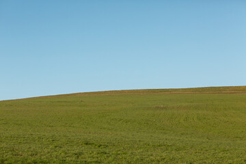 field and blue sky