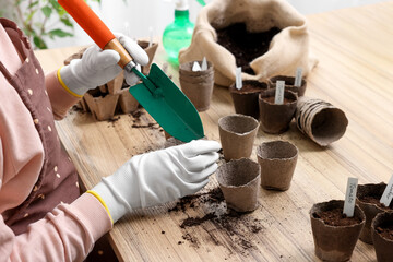 Woman adding soil into peat pots at wooden table, closeup. Growing vegetable seeds