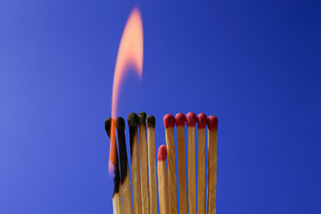 Burning and whole matches on blue background. Stop destruction concept - obrazy, fototapety, plakaty