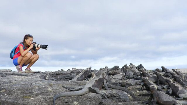 Galapagos tourist photographer taking photos Marine Iguanas on Fernandina Island