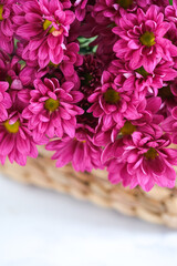 beautiful chrysanthemun in basket.. selective focus