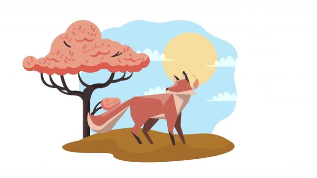 fox animal spring season animation