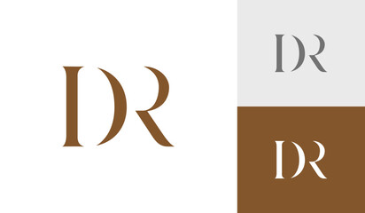 Letter DR monogram logo design vector