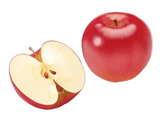 りんご　丸ごとと半分