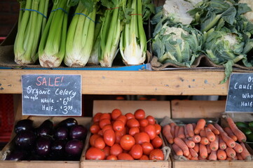 A season of harvest of the vegetables