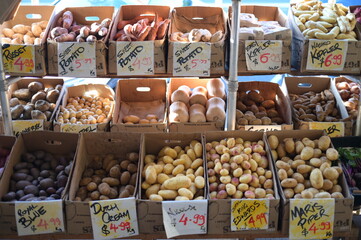 A season of harvest of the vegetables