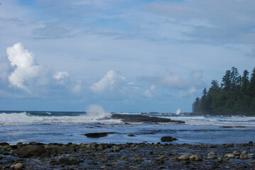 Ocean waves crash along a remote beach on the West Coast Trail, Vancouver Island, BC