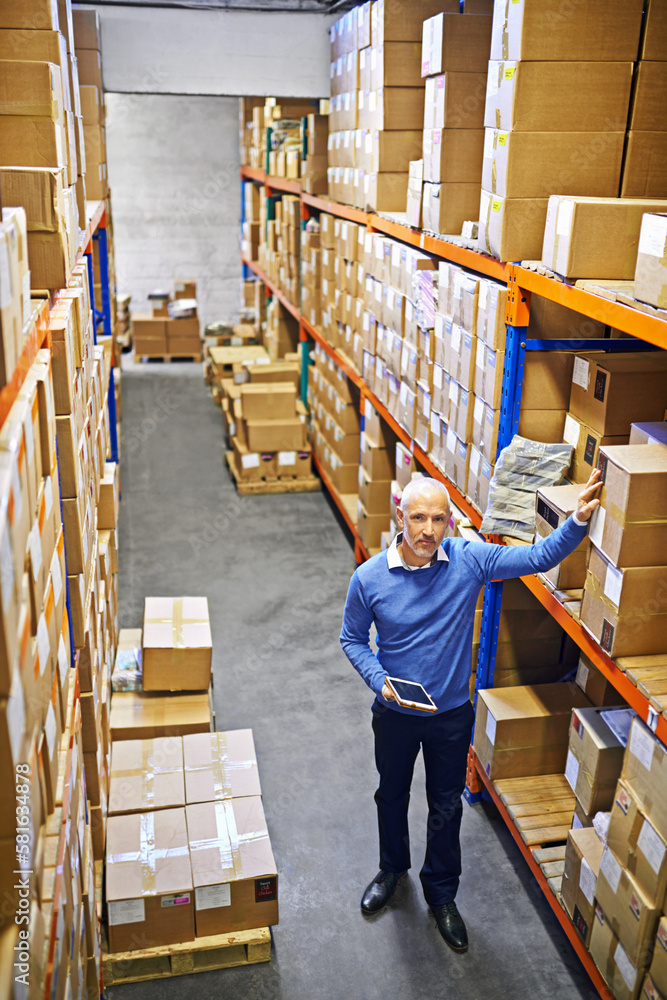 Poster managing shipping logistics. a mature man working inside in a distribution warehouse.