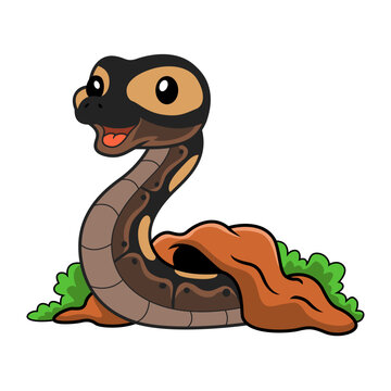 Cute ghi mojave ball python cartoon out from hole