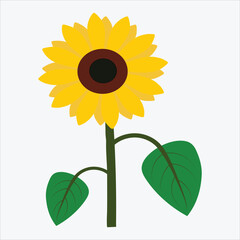 A pretty sunflower vector art work.