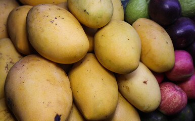 Yellow and Fresh Mango Fruit