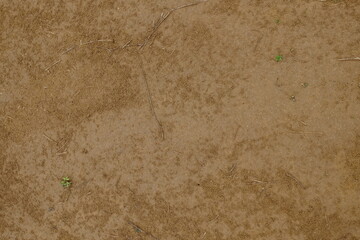 Sand texture background