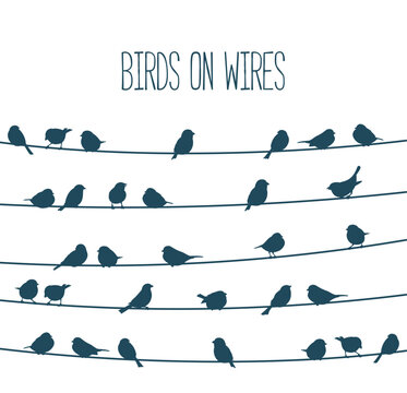 Sparrow birds flock on power line wires, vector sky silhouette background. Black birds flying and sitting on electric cables of power line, sparrows or bullfinches in group row on electricity wires