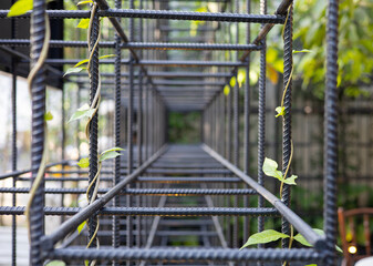 Structural steel bars are welded into a square with vines and trees growing.