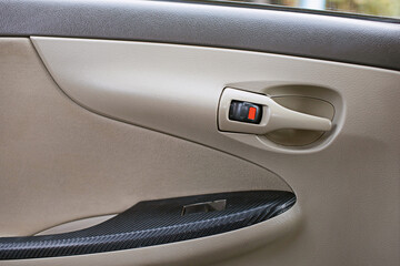 Interior door in the car, gray and black