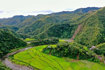 Panorama drone shot over the rice terraces of Banaue in the Philippines, surrounded by green hills covered with trees.