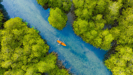 aerial view of man kayaking on the river in the forest she admires nature and adventures in the...