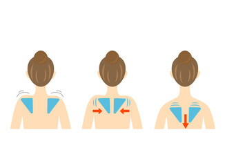 Women's back scapular and shoulder blades square shoulder and sloped shoulder - obrazy, fototapety, plakaty