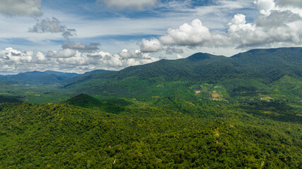 Naklejka premium Aerial view of jungle and mountains in Borneo. Mountain slopes with tropical vegetation. Malaysia.