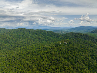 Obraz premium Aerial view of mountain with rainforest. Slopes of mountains with evergreen vegetation. Borneo, Malaysia.