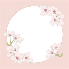 桜のレトロな正方形フレーム